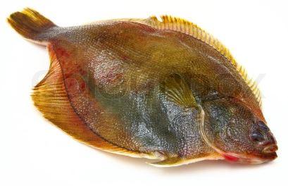 Fiske rekord